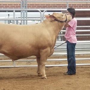 Meet your Posher, Kristen